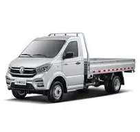 Captain W — SBR Mobility DONGFENG